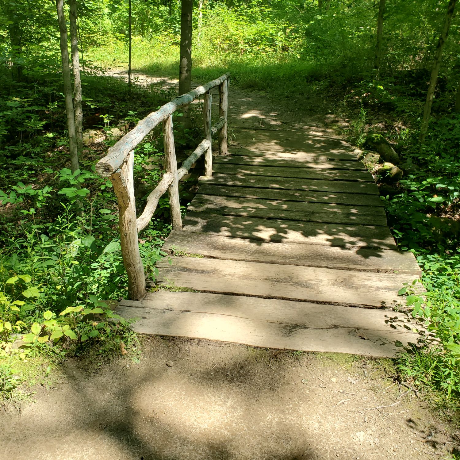 Stanford and Brandywine Gorge Trails 